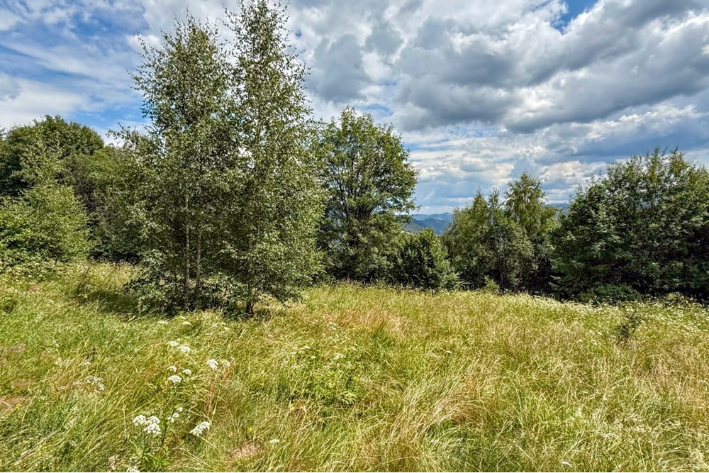 Nieruchomość gruntowa - Sprzedaż - Ochotnica Dolna, Polska - IMG_0131.jpg - 800091057-4