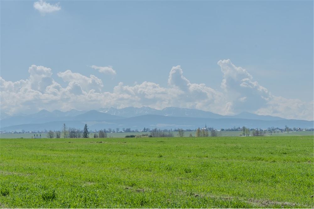 Nieruchomość gruntowa - Sprzedaż - Jabłonka, Polska - 13 - 470131089-56