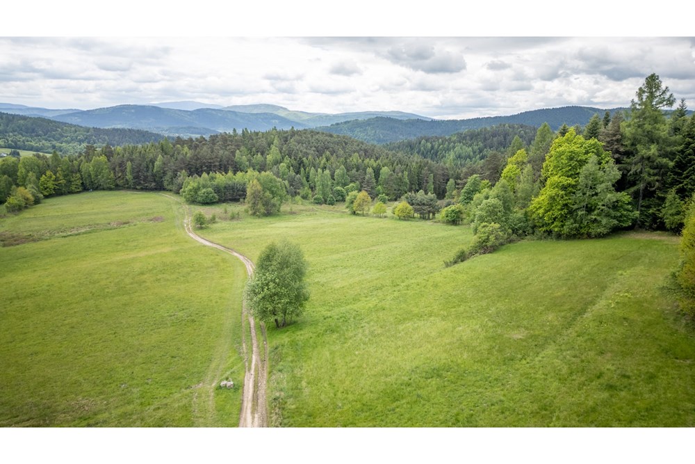 Działka - Sprzedaż - Krzeszów, Polska - DJI_0358.jpg - 470131112-4