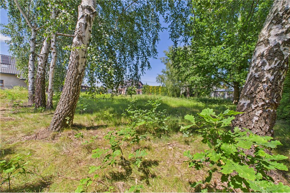 Działka budowlana - Sprzedaż - Żory, Polska - 5 - 470311001-39