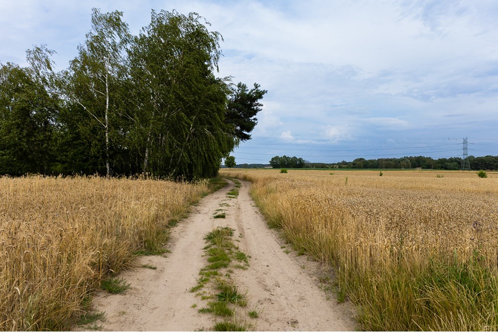 Dom wolnostojący - Sprzedaż - Brzeziny, Polska - dom w Brzezinach-60.jpg - 470291001-146
