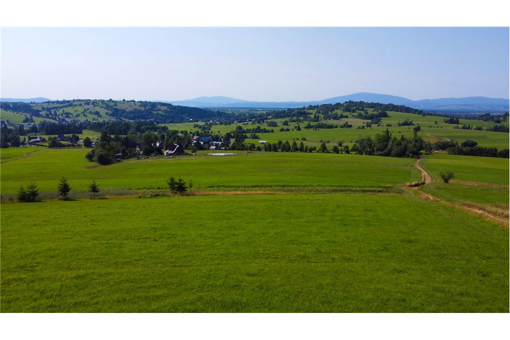 Nieruchomość gruntowa - Sprzedaż - Dzianisz, Polska - 22 - 800061116-24