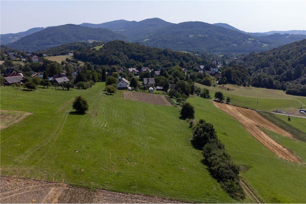 Działka - Sprzedaż - Młynne, Polska - 2 - 800061103-179