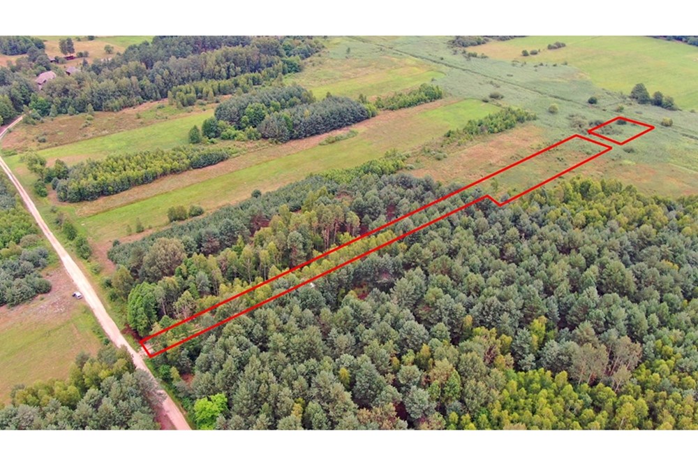 Nieruchomość gruntowa - Sprzedaż - Rudniki-Kolonia, Polska - Koniecpol (6).jpg - 800041074-18