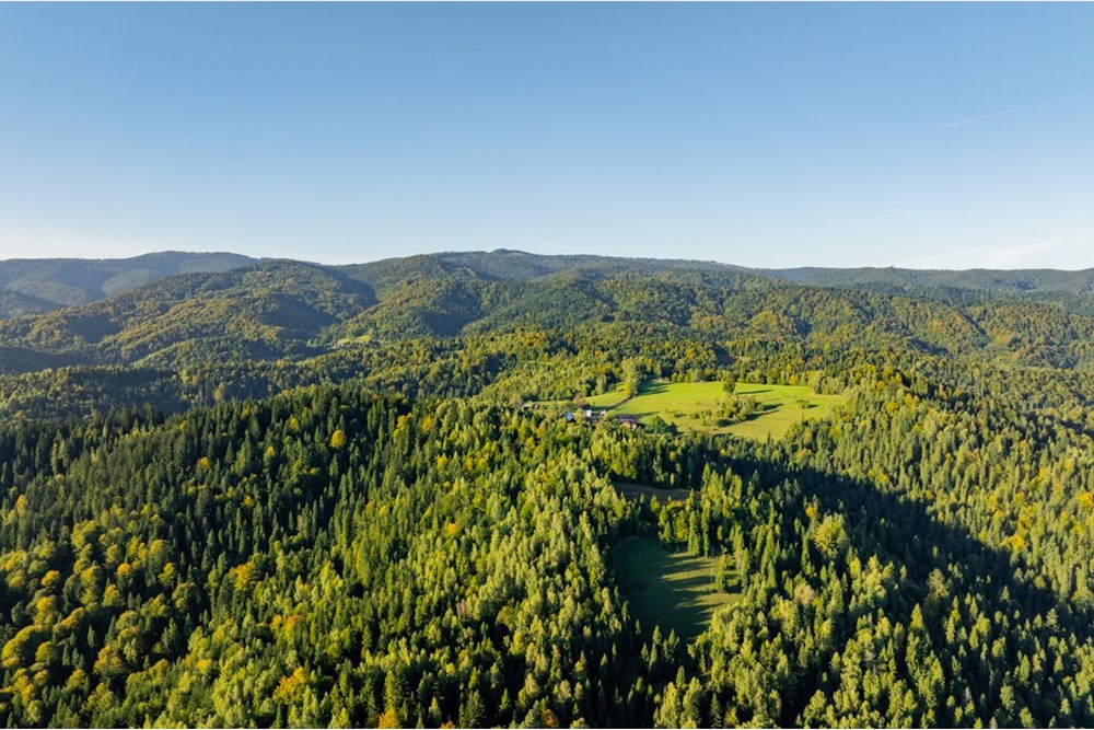 Działka - Sprzedaż - Harklowa, Polska - 20251004-DJI_0225-HDR.jpg - 470151024-458