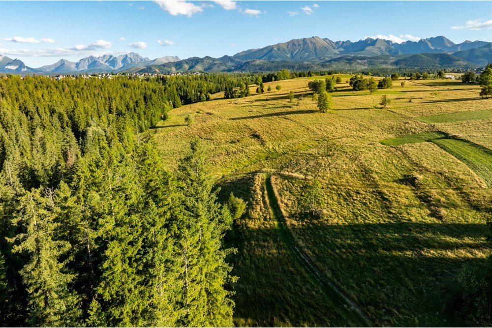 Działka - Sprzedaż - Zakopane, Polska - 20250826-DJI_0115-HDR.jpg - 470151024-450