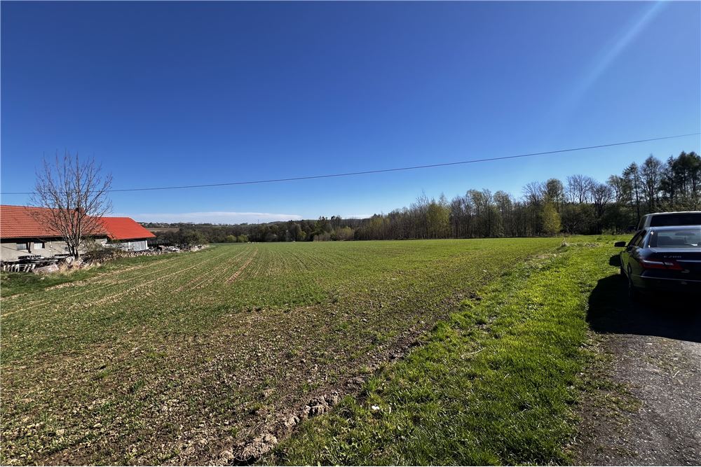 Działka - Sprzedaż - Pogórze, Polska - 7 - 800061117-26