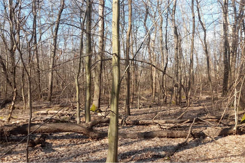 Działka - Sprzedaż - Kraków, Polska - 20 - 800241031-34