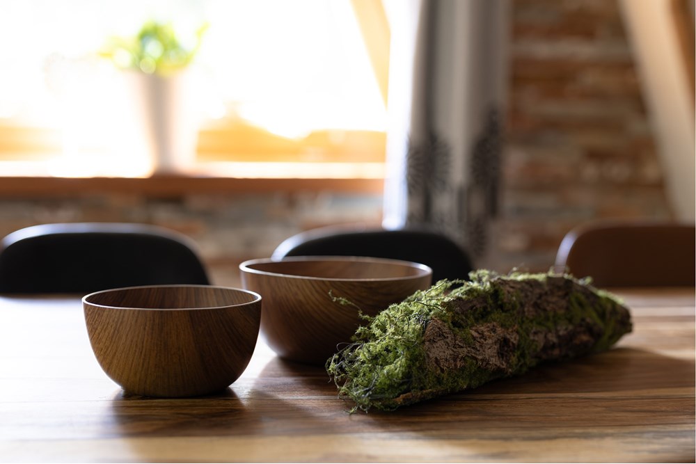 Dom wolnostojący - Sprzedaż - Zakopane, Polska - REMAX_AnetaŚwider_Zakopane (16).jpg - 470151051-71