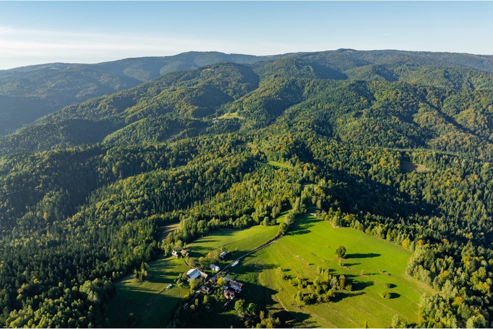 Działka - Sprzedaż - Harklowa, Polska - 20251004-DJI_0219-HDR.jpg - 470151024-458