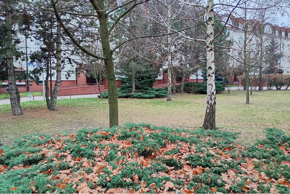 Mieszkanie - Sprzedaż - Warszawa, Polska - 1000035588.jpg - 470411006-16