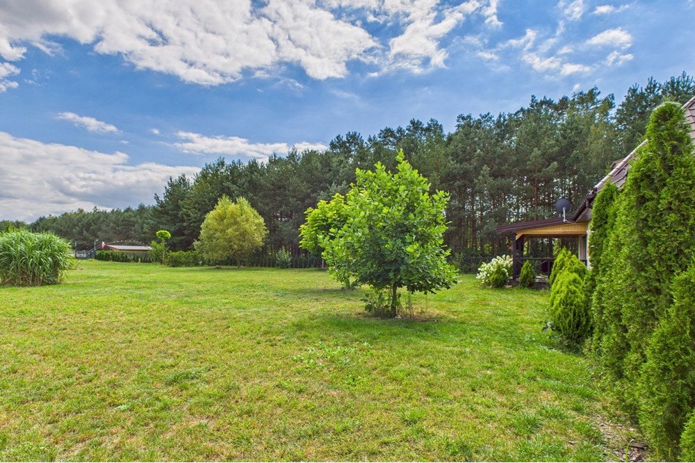 Dom wolnostojący - Sprzedaż - Grabie, Polska - Działka.jpg - 810051022-78