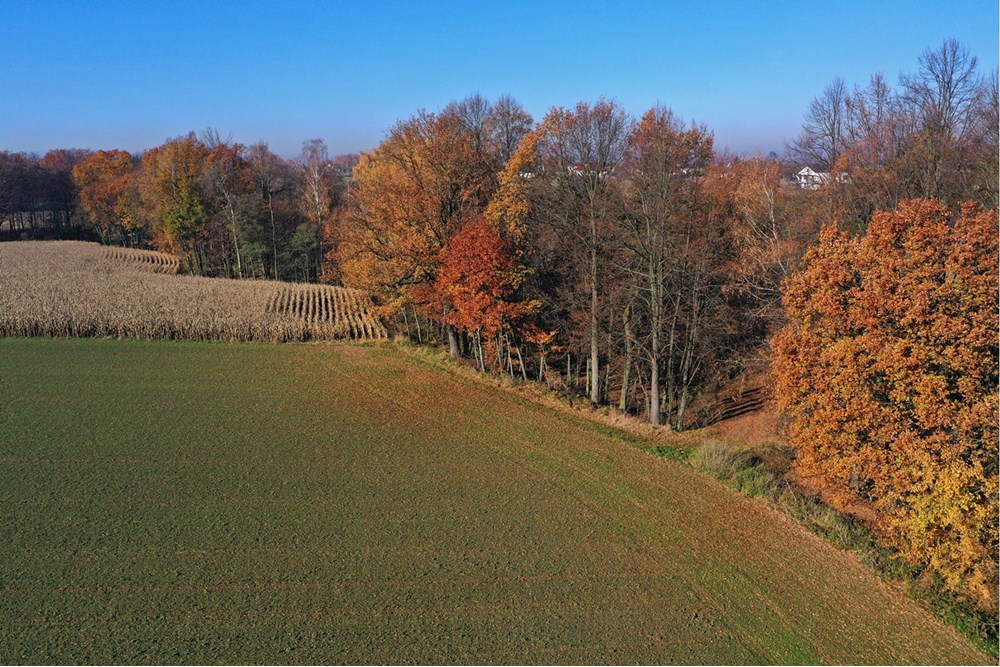 Działka - Sprzedaż - Witkowice, Polska - 30.JPG - 470131110-4