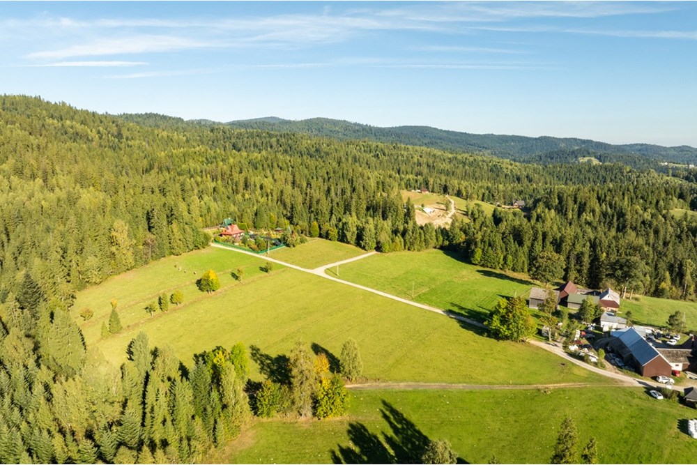 Działka budowlana - Sprzedaż - Nowy Targ, Polska - 20251004-DJI_0160-HDR.jpg - 800091040-99