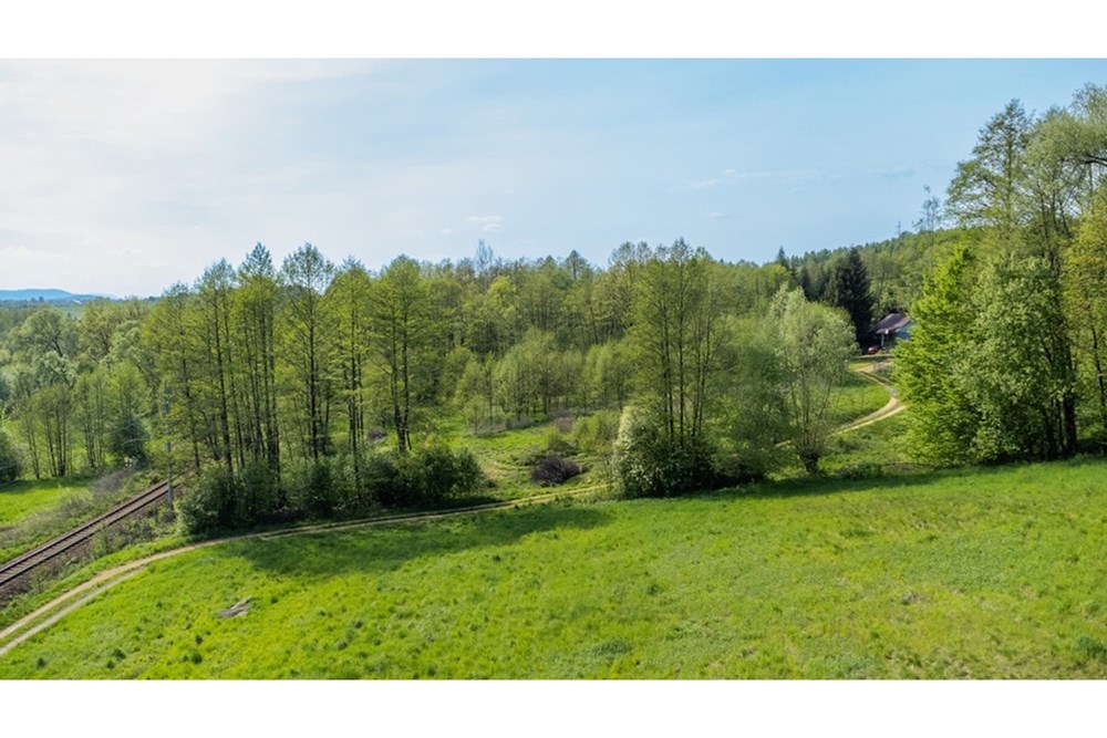 Działka - Sprzedaż - Barwałd Średni, Polska - BARWAŁD ŚREDNI_30.JPG - 470131106-29