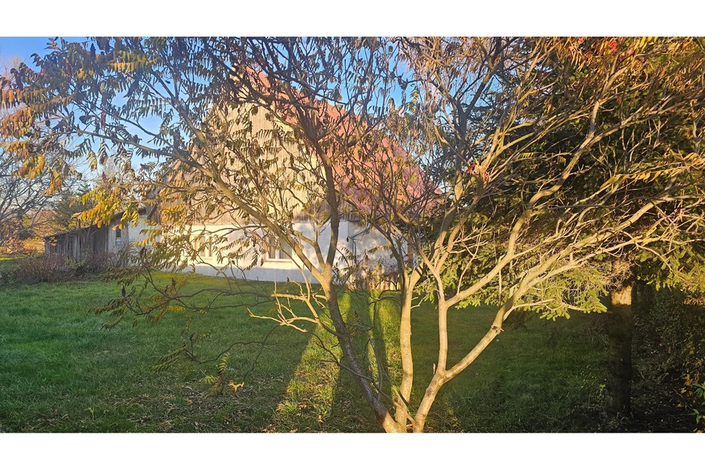 Willa - Sprzedaż - Krzeszów, Polska - 20251106_153334(1).jpg - 800061135-23