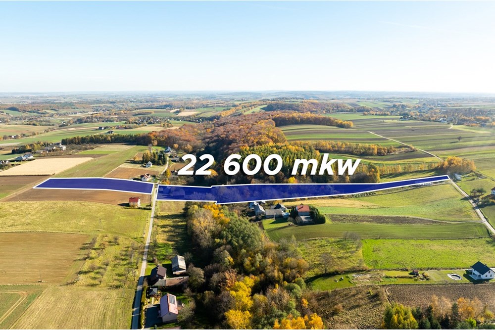 Dom wolnostojący - Sprzedaż - Stoki, Polska - 20251031-DJI_0142-HDR.jpg - 800241032-75