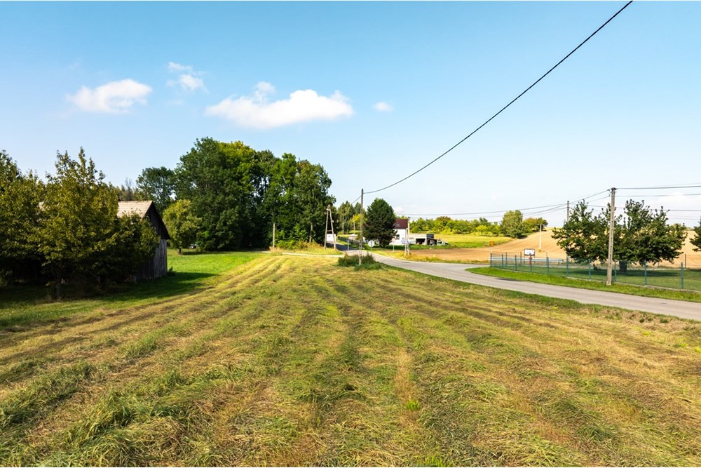 Działka - Sprzedaż - Smardzowice, Polska - 20250909-DJI_0197-HDR.jpg - 800241032-74