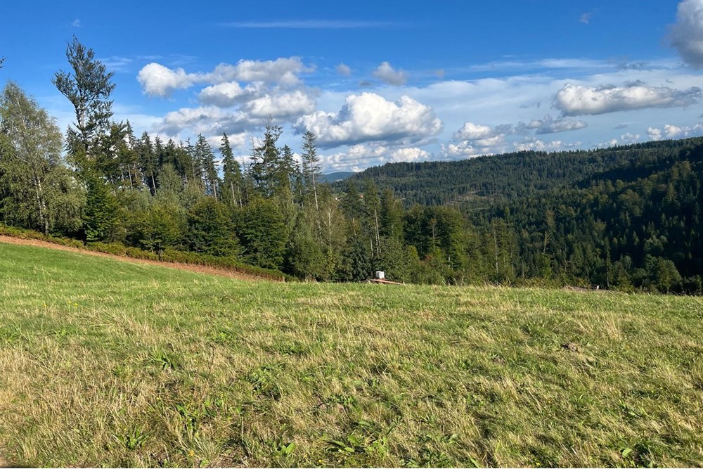 Działka - Sprzedaż - Wisła, Polska - IMG-20250911-WA0007.jpg - 470131058-373