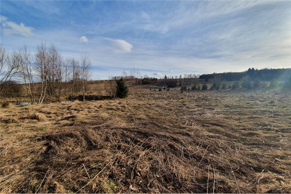 Działka budowlana - Sprzedaż - Bystra, Polska - 13 - 800091026-75