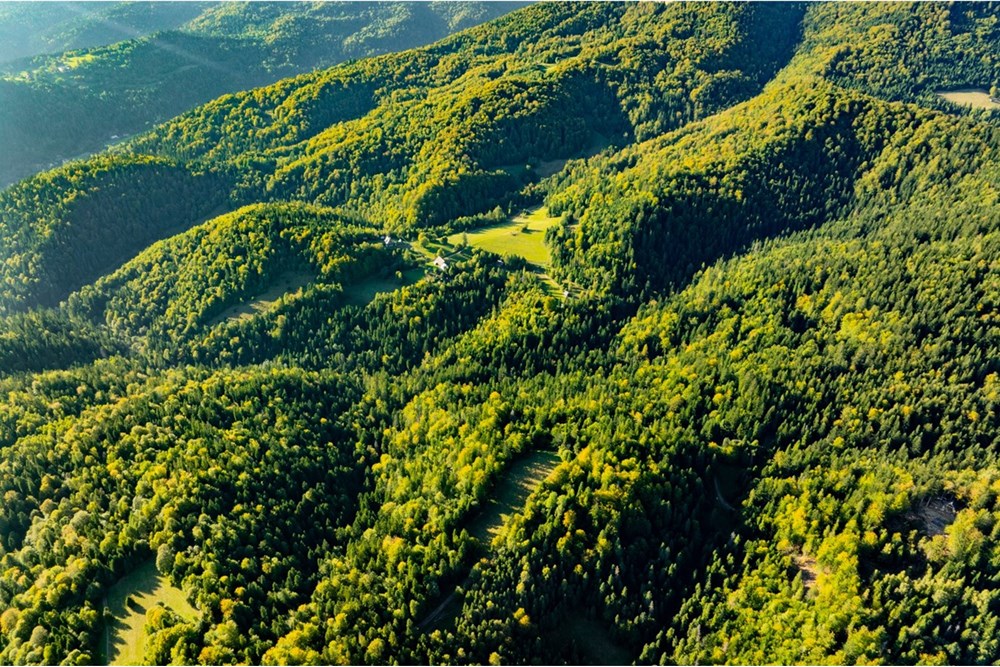 Działka - Sprzedaż - Harklowa, Polska - 20251004-DJI_0198-HDR.jpg - 470151024-458