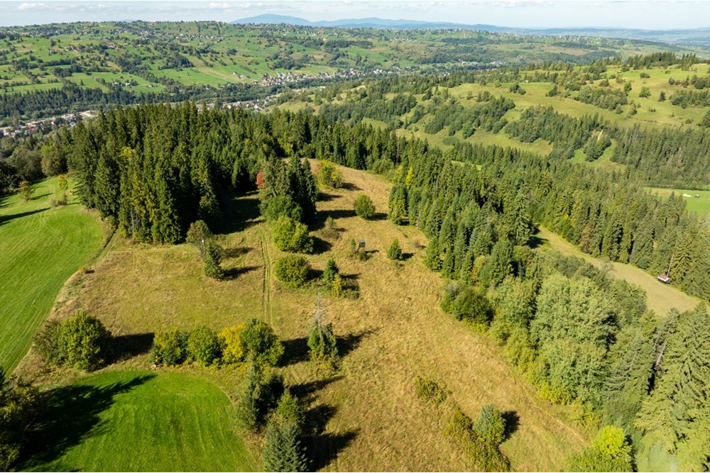 Nieruchomość gruntowa - Sprzedaż - Poronin, Polska - 20250922-DJI_0912-HDR.jpg - 470151039-63