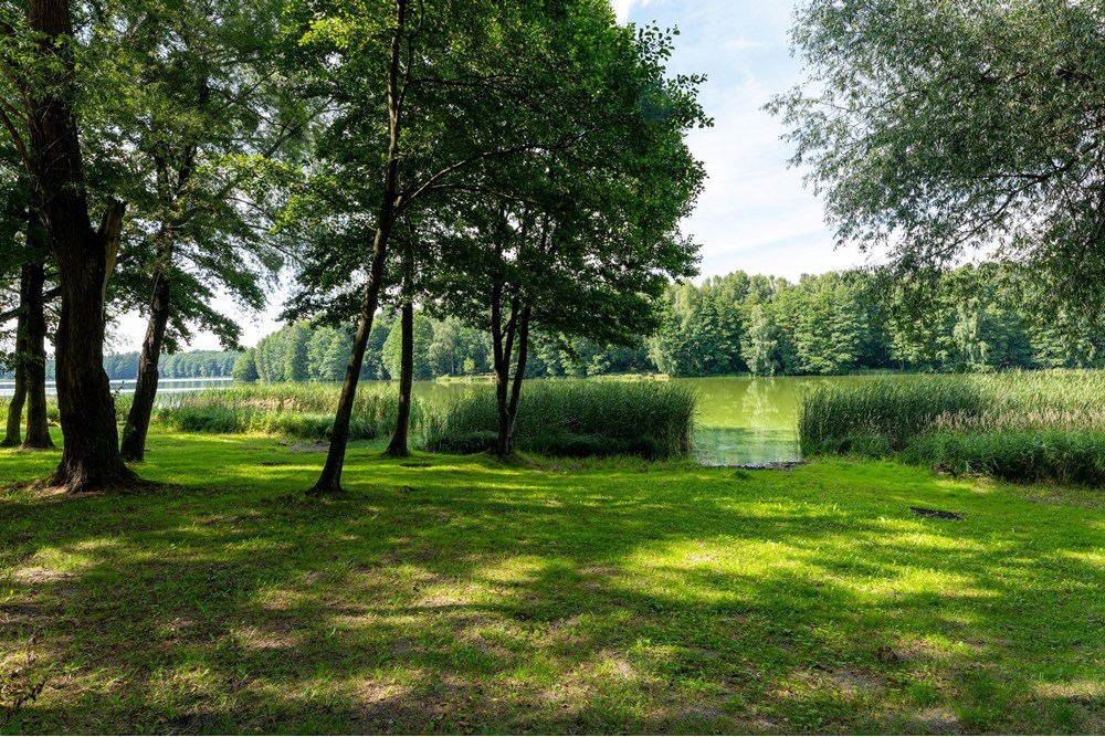 Dom wolnostojący - Sprzedaż - Jedlnia-Letnisko, Polska - JEDLNIA-117.jpg - 810251036-47