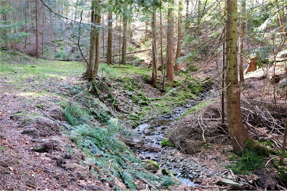 Dom wolnostojący - Sprzedaż - Pewel Ślemieńska, Polska - 73 - 800061016-1147