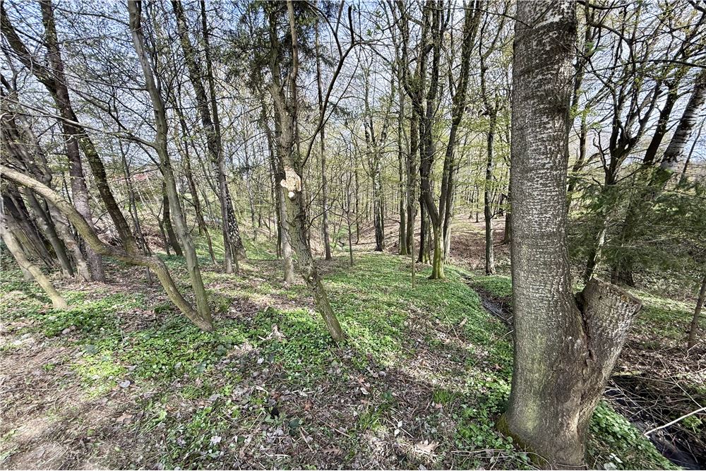 Działka budowlana - Sprzedaż - Bestwina, Polska - 6 - 800061126-15