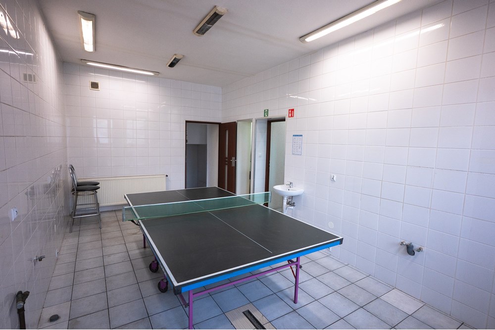 Lokal handlowy/usługowy - Wynajem - Imielin, Polska - DSC_2763.jpg - 800061127-7