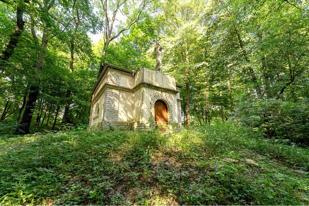 Rezydencja/Willa/Dworek - Sprzedaż - Poręba Żegoty, Polska - 0009_pajerski-kaplica.jpg - 470131113-347