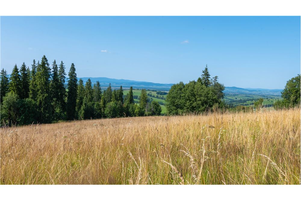 Nieruchomość gruntowa - Sprzedaż - Dzianisz, Polska - 47 - 800061116-23