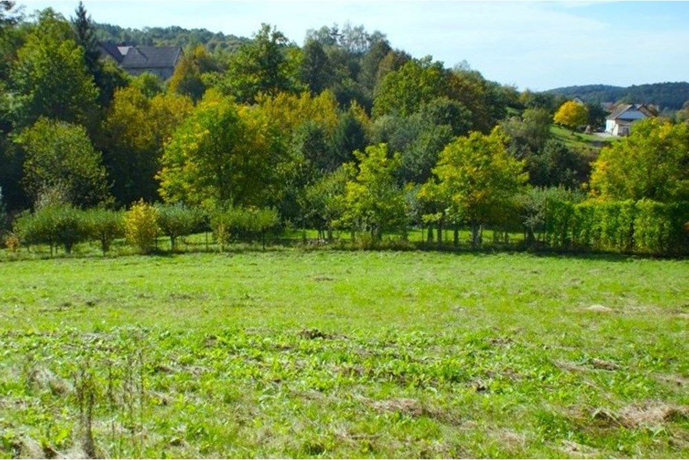 Działka - Sprzedaż - Włosań, Polska - lll.jpg - 800241010-104