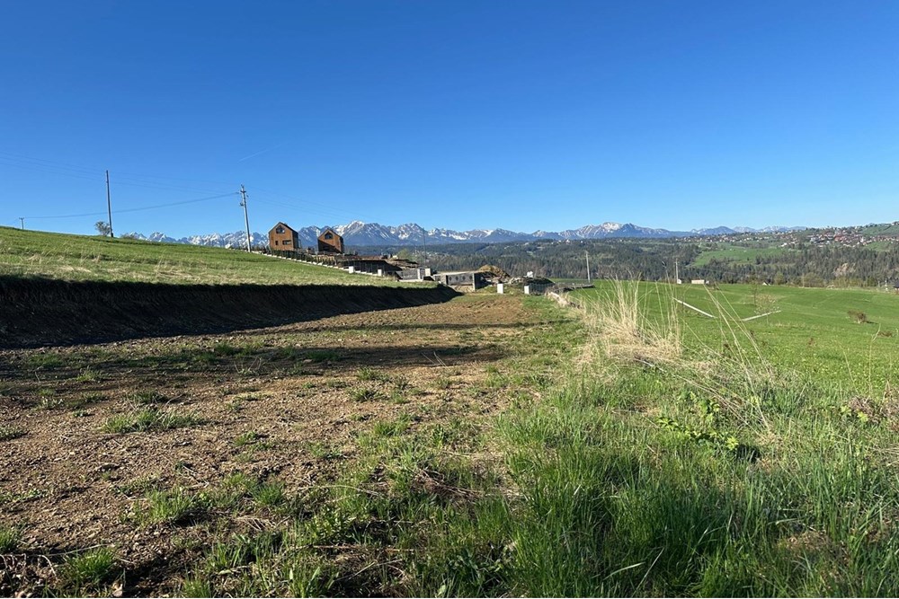 Działka - Sprzedaż - Rzepiska, Polska - IMG-20250915-WA0003.jpg - 800091026-78