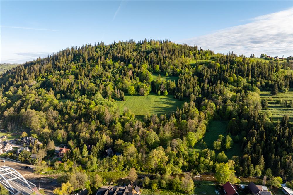 Działka - Sprzedaż - Poronin, Polska - 14 - 470151035-135