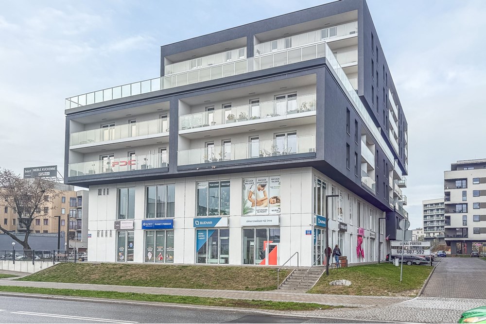 Mieszkanie - Wynajem - Łódź, Polska - Mieszkanie-na-wynajem-Lodz-15.jpg - 470191035-116