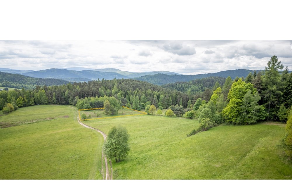 Działka - Sprzedaż - Krzeszów, Polska - dZIAŁKA 149.000 4.jpg - 470131112-3