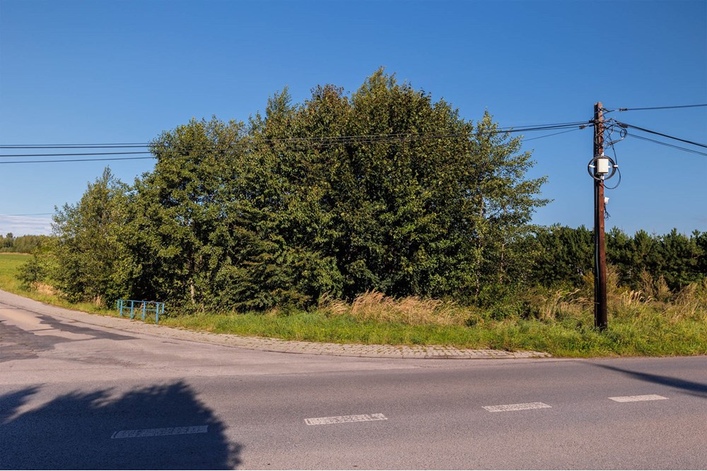 Działka - Sprzedaż - Roczyny, Polska - roczyny-13 (4).jpg - 800061107-109