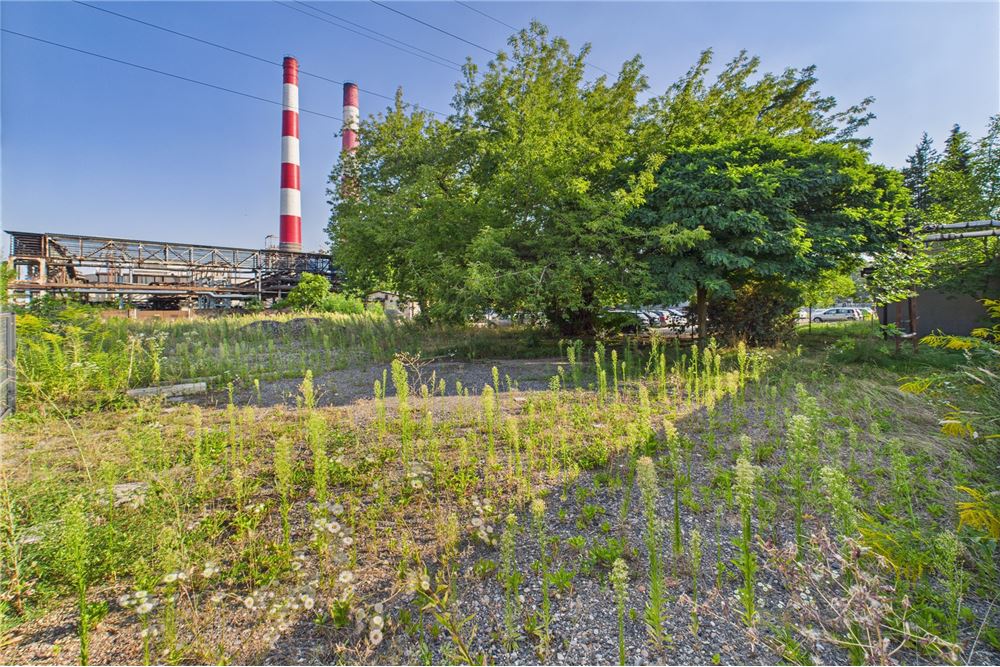 Biuro - Wynajem - Rybnik, Polska - 29 - 470311001-42