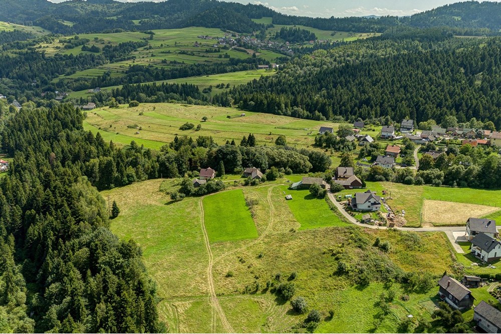 Działka - Sprzedaż - Krośnica, Polska - 0011_pajerski-dzialka-krosnica.jpg - 470131113-349