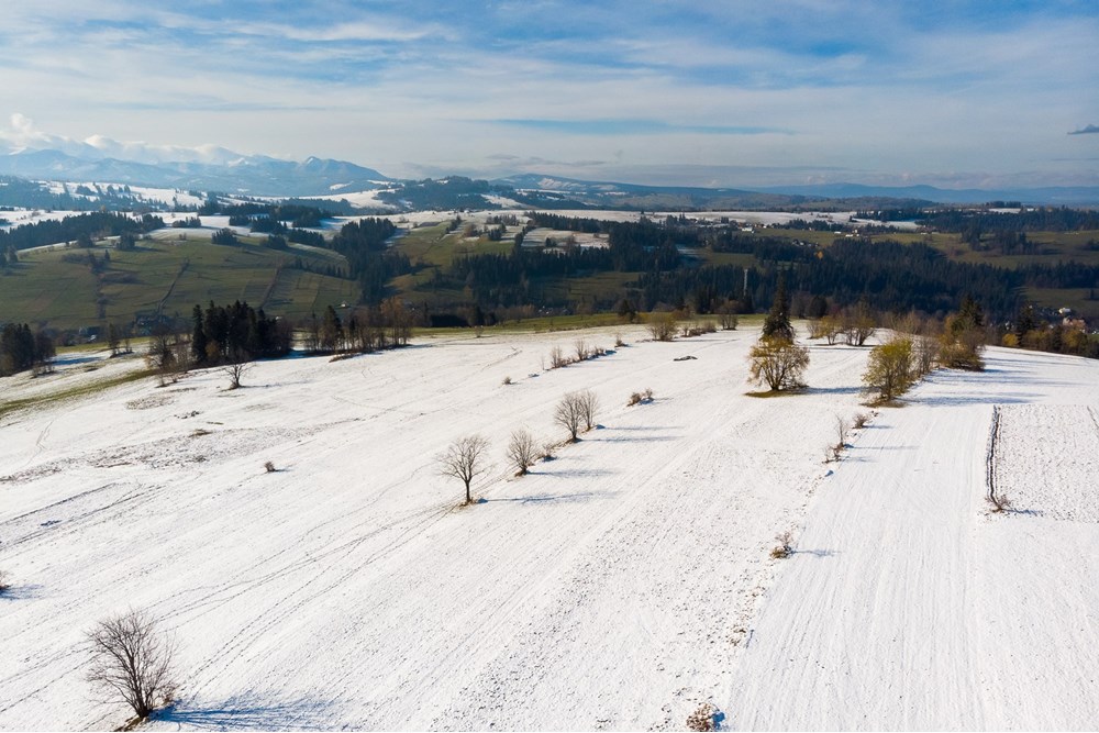 Działka - Sprzedaż - Ratułów, Polska - DJI_0412.jpg - 470151035-149