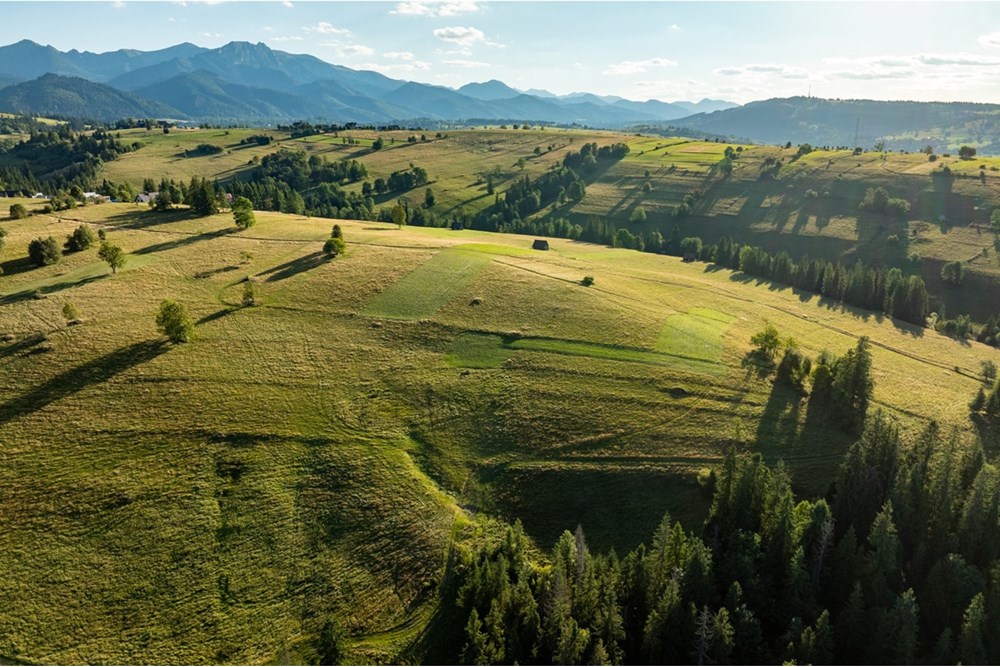 Działka - Sprzedaż - Zakopane, Polska - 20250826-DJI_0130-HDR.jpg - 470151024-450