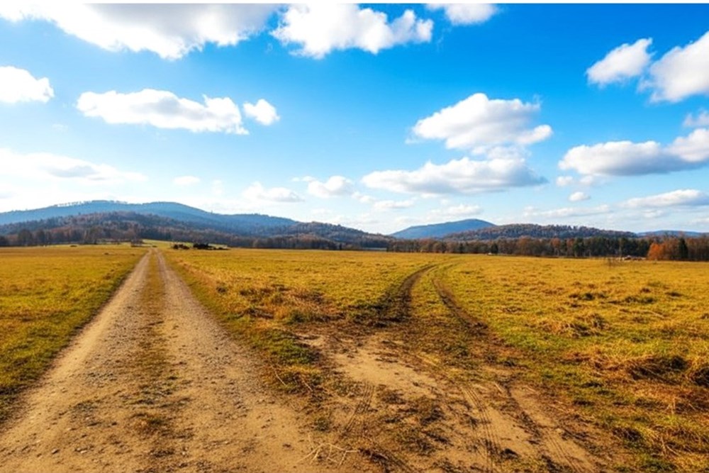 Działka budowlana - Sprzedaż - Milówka, Polska - witosa3.jpg - 800061133-20