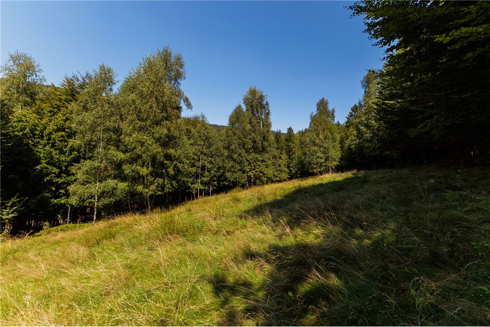 Działka - Sprzedaż - Międzybrodzie Żywieckie, Polska - 6 - 800061107-105