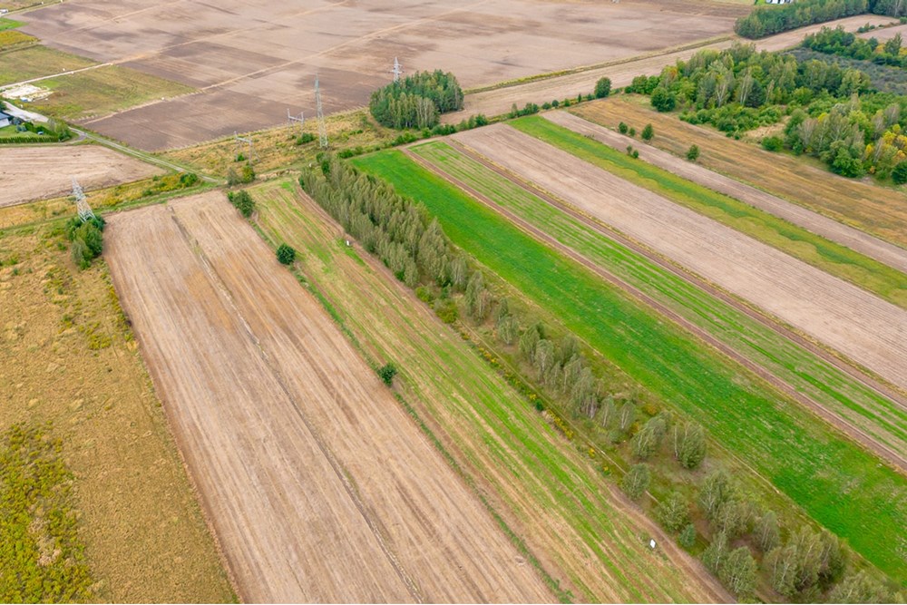 Działka - Sprzedaż - Skotniki, Polska - Dzialka-budowlana-na-sprzedaz-Skotniki-Zgierz-Lodz-10.jpg - 470191057-32
