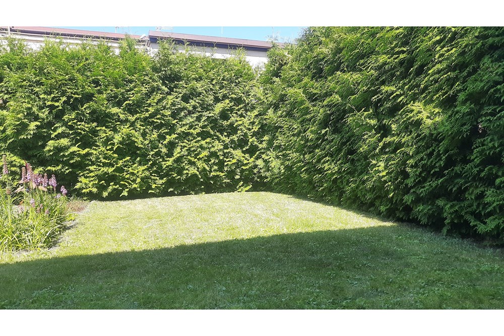 Dom bliźniak - Sprzedaż - Łódź, Polska - 20250812_133424.jpg - 470291003-13