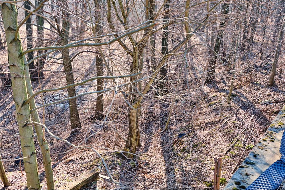 Rezydencja/Willa/Dworek - Sprzedaż - Mysłowice, Polska - 58 - 800061016-1140