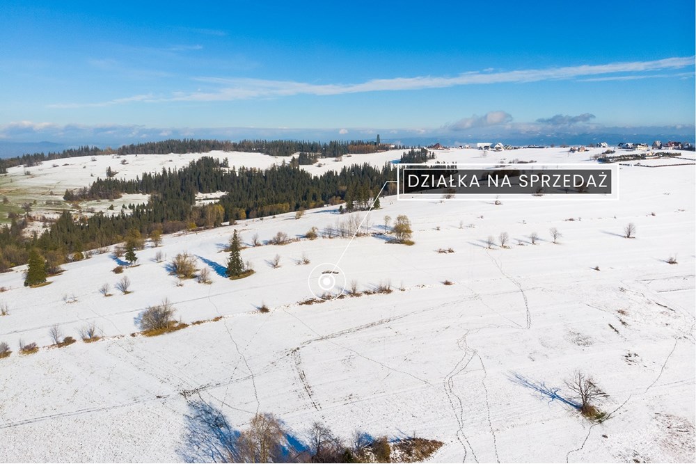 Działka - Sprzedaż - Ratułów, Polska - DJI_0401.jpg - 470151035-149