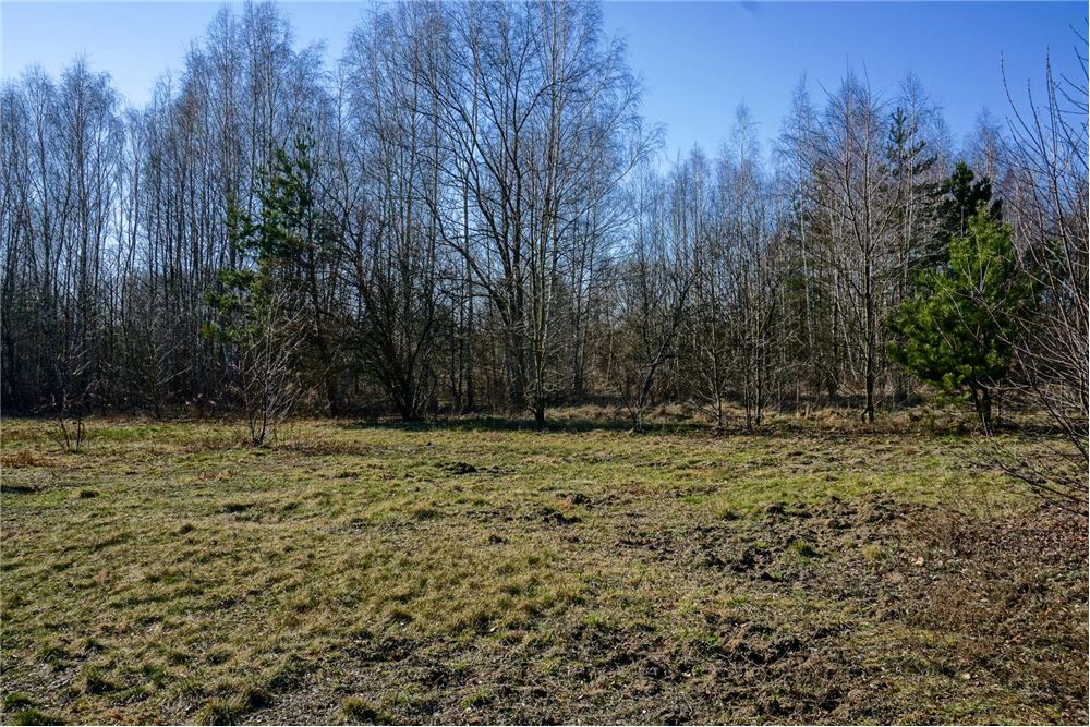 Działka budowlana - Sprzedaż - Musuły, Polska - 20 - 810141002-655