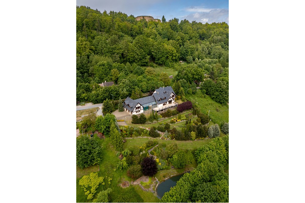 Rezydencja/Willa/Dworek - Sprzedaż - Srebrna Góra, Polska - 005 z lotu ptaka.jpg - 800271021-13